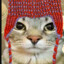 Gato peruano Gaming