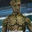 Groot