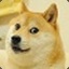 DOGE MEME IS DEAD