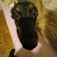 DRAINER ECPU POLSKA TOPG