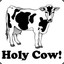 Holy cow!
