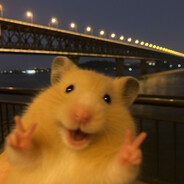 捞龙之饿咩小龙