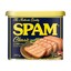 spam