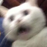 今天也要闪闪发光