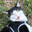 °Sushi. TheCat™