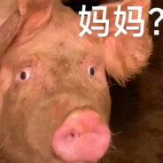 小学老师怎么办？