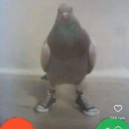 Кэл Твёрдый