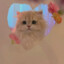 花影摇春