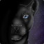 Blackcat