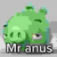 mr anus