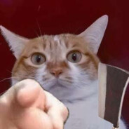 翻斗花园突破手牛爷爷