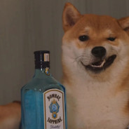 名字长会有傻子跟着念