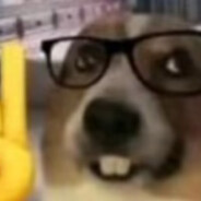 你从丹东来换我一城雪白想吃广东菜