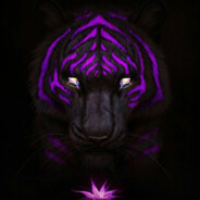 TAIGER99 - steam id 76561199661890492