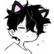 kitty boy!
