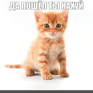 ДА ПОШЕЛ ТЫ