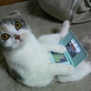 Adam - steam id 76561197962983679