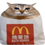 hashbrown car