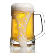 Avid Beer Drinker