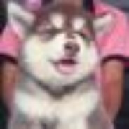 Hãy gánh EM,please!!!