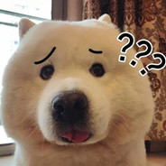 T2 我不白给谁白给