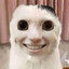 ryousi