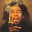 DoggMarley™ Hz_eG