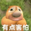 熊二GUCEN
