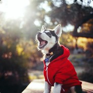 亦步亦趋亦无心