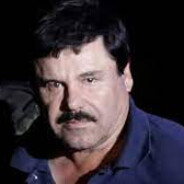 elchapo