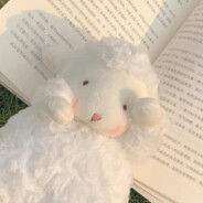 小杨不回家放羊