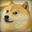 Miracle Doge (Alpha Doge)'s Avatar