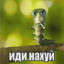 мне нужен 50 cent