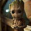 IAMGROOT