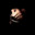 SG_Banner™