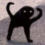 KoffeinKatze