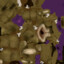TEX_Bunni_BaseColor