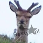 eryk118534skins.army