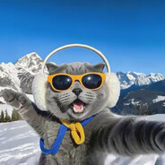 吃了花的女孩儿丶