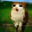 Diddy Labubu's avatar
