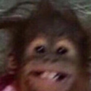 тирэкс тирэкс