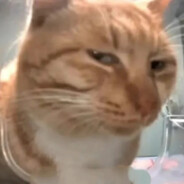 一身清贫求富贵