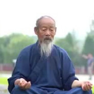 The spinjitsu master