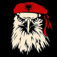 albionsh55 - steam id 76561199107712439