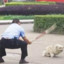 蓝色我是你爸爸
