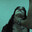 I_am_deky