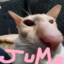 jumo