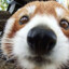 ᵉⁿᵈᵉ