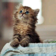 超级无敌花火大王