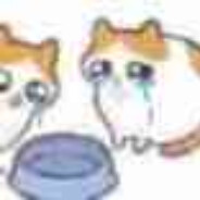 我玩这个能憋好屁？